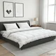 Set odeje in blazine 3 kos 240x260 cm 4 letni časi 220 GSM Bela