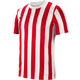 Jersey Nike Y NK Division 4 DRY SS JSY