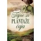 Tajne sa plantaže čaja - Dženet Maklaud Troter ( 11844 )