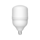 LED sijalka E27 25W 4000K 2750lm T100