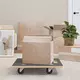 Transportna kolica 2 kom pravokutna 60 x 40 x 11,5 cm 250 kg