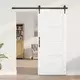vidaXL Notranja vrata Bela 86 x 198,5 cm Vezani les