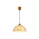 Luster na sajli 1xE27/60W/230V