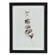Ram za slike Valter 13x18cm crna SDP ( 4912245 )