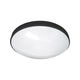 LED kupatilsko plafonsko svetlo CIRCLE LED/18W/230V 4000K prečnik 30 cm IP44 crno