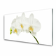 tulup.si Slika na steklu Poganjki orchid rože narava 140x70 cm 2 obešalnika