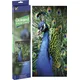 Grafix Diamantno slikarstvo Peacock 40x50cm