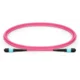 shumee Lanview LVO230415-MTP InfiniBand/optični kabel 15 m vijoličen