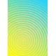 ENJOY Puzzle Circular Gradient 4, 1000 kosov
