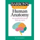 Visual Learning: Human Anatomy: An Illustrated Guide for All Ages
