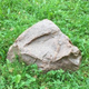 Taidekivi Baštenski kamen, Bež, O30 cm