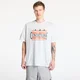 Majice Nike ACG Mens Dri-FIT T-Shirt Summit White XS