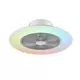 PLAFONSKI VENTILATOR bela, boja hroma  providno