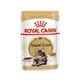 ROYAL CANIN Maine Coon v omaki 12x85 g