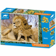 Prime 3D puzzle Animal Planet Lavovi 500 delova 61x46cm 10386