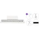 Korg B2+ Standard SET Digitalni stage piano White