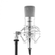 OneConcept Mic-700, studijski mikrofon, O 34 mm, kardioidni, pauk, zaštita protiv vjetra, XLR, srebrni