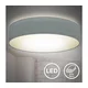 B.K. Licht 1393 - LED plafonsko svetlo LED/20W/230V sivo