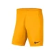 Nike Hlače oranžna 183 - 187 cm/L Dry Park Iii NB