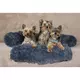 Pasja postelja Petsofa temno siva velikost XS