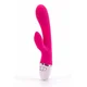 Dreamer rose red usb vibe