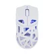 WHITE SHARK WS WGM 5019 DAGONET BT Miš