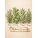 Plakat 30x40 cm za kuhinjo Herbes de Cuisine starinska zelišča
