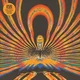 Druid Fluids - Then, Now, Again & Again (LP)