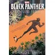 Black Panther The Young Prince