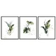 shumee SLIKOVNI PLAKATI V OKVIRJU 53x73cm Triptih Komplet 3 slik Listi P1454_53x73