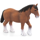 Mojo Clydesdale konjsko rjava
