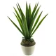 Dekordom Cvet u saksiji aloe 46cm 51929-1 - green - nnt ( 040068 )