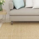 vidaXL Preproga iz sisala za praskalnik 80x300 cm