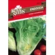 SEME ROYAL SEEDS 224 Endivija Cornet de Bordeaux
