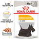 Royal Canin Dermacomfort Dog Loaf vrečka s pašteto za pse s problematično kožo 12x85 g