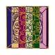 Struna B medium 3/4-4/4 Passione Pirastro