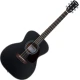 Pasadena PG-200 Black Akustična kitara Jumbo