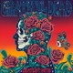 Grateful Dead - The Gratest Hits (140g) (Orange Coloured) (LP)