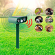 Netscroll Solarni odganjalec živali in vrtnih škodljivcev, RepellentSensor