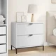 vidaXL Nočna omarica s predalom Bela 63.5 x 36 x 61 cm Konstruiran les