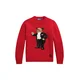 Polo Ralph Lauren Pulover rjava/rdeča/črna/bela
