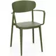 Fotelj ima ARMCHAIR – oljka