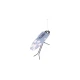 Likalna deska TORO DIAMOND 120x38 cm