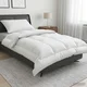 vidaXL Set odeje in blazine 2 pcs 135x200 cm 4 letni časi 220 GSM Bela