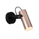 Rabalux Raven Spot LED 5W mat crna/zlatna