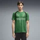 PUMA Borussia Mönchengladbach Slim Training Jersey Men, Men, Archive Green/White, XL