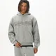 Cropp - Dukserica sa kapuljačom i printom - light grey