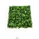 Zeleni zid 3d garden 50x50 cm ( bolzzidgarden )