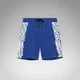 Oakley Quiver Rc 19 kopalke, electric blue (36)