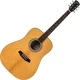 Pasadena PD-350 Natural Gloss Akustična kitara